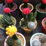 Thumbnail of related posts 146